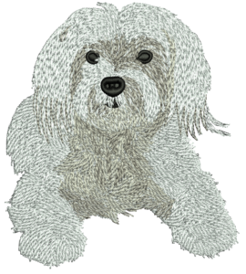 Logo10